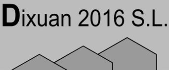 Dixuan 2016 logo